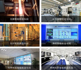 光通信行业深度报告：亨通光电的龙头地位与木制品销售业务探析
